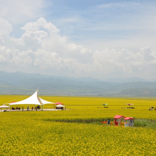 Qinghai Kokonor Lake Qilian Mountain Photography Tour – 7 Days