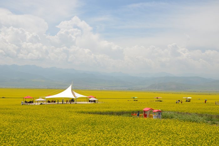 Qinghai Kokonor Lake Qilian Mountain Photography Tour – 7 Days
