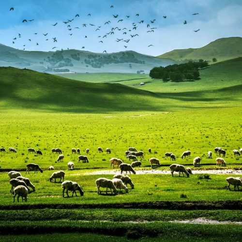 5-Day Beijing Inner Mongolia Impression Tour