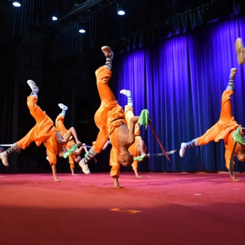 Luoyang Shaolin One Day Private Tour