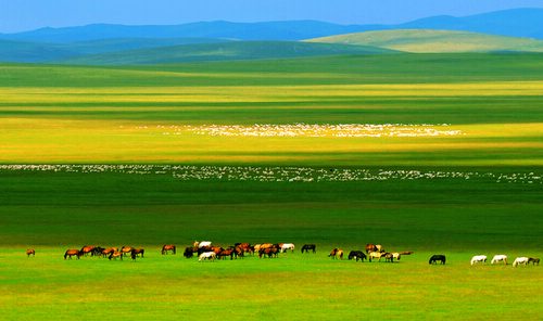 2-Day Hohhot Inner Mongolia Classic Tour