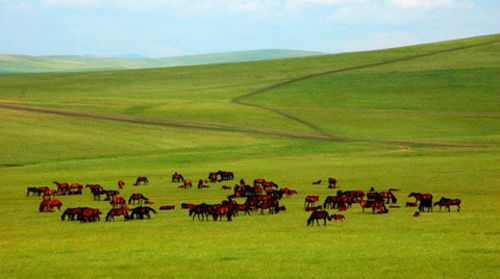 5 Days Inner Mongolia Genghis Khan & Grassland Tour