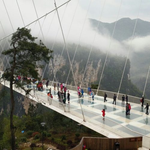 1 Day Zhangjiajie Grand Canyon Glass Bridge and Baofeng Lake