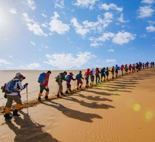 Private Day Tour with Camel Trek in Tengger Desert from Zhongwei