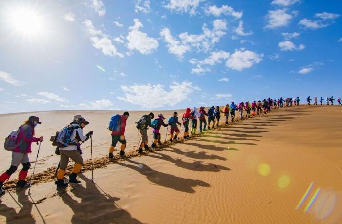 Private Day Tour with Camel Trek in Tengger Desert from Zhongwei