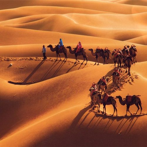 Private 2-Day Tour to Tengger Desert from Zhongwei