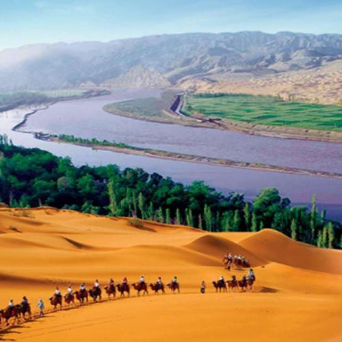 Private One Day Tour to Shapotou and Desert experience from Zhongwei