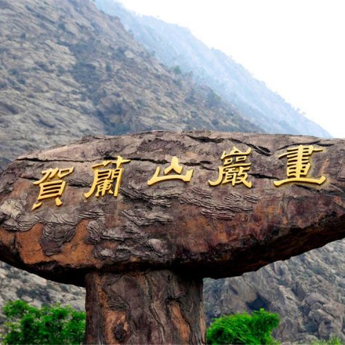 Private Day Tour to Western Xia Tombs, Helanshan Carving and more