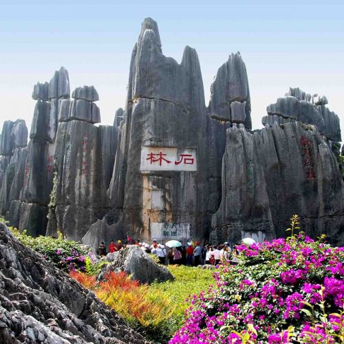 Kunming Tour with Stone Forest Discovery