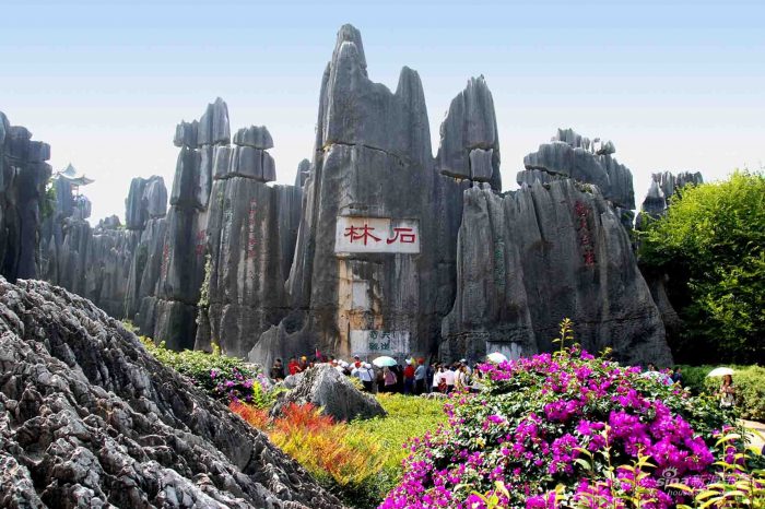 Kunming Tour with Stone Forest Discovery