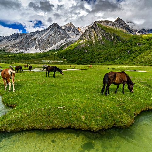 9 Days Yunnan Hiking Tour from Shangrila to Daocheng Yading Nature Reserve