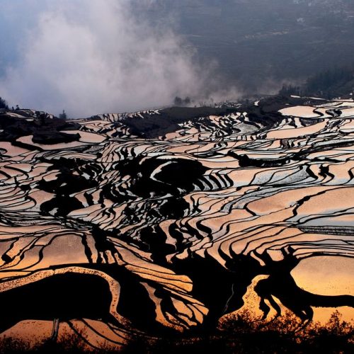 Yuanyang Rice Terraces Explorations