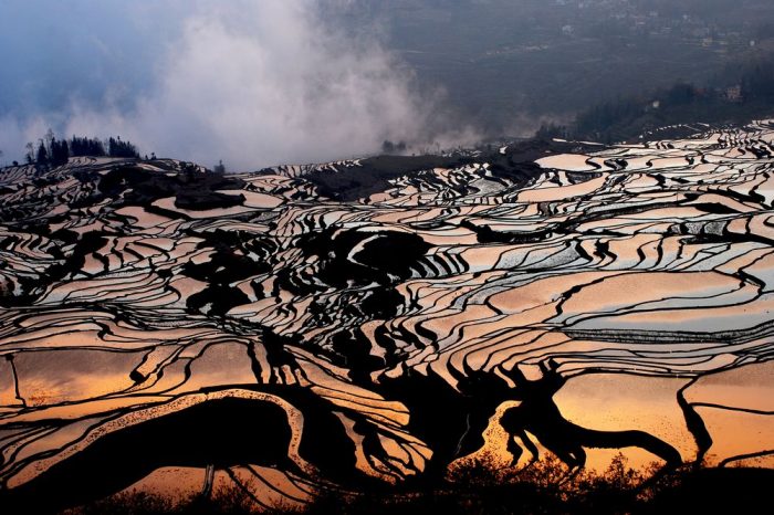 Yuanyang Rice Terraces Explorations