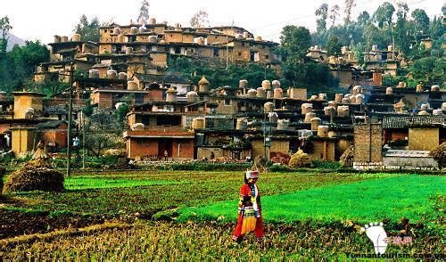 4 Days Travel to Stone Forest and Chengzi Ancient Village