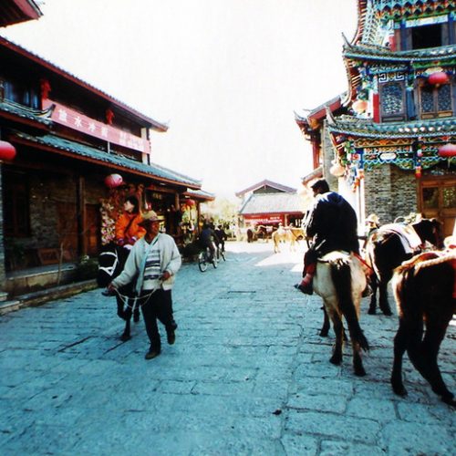 14 Days Ancient Tea Horse Trade Road Overland Tour from Jinghong to Lijiang and Shangrila