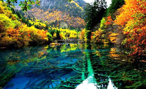 Beijing Chengdu Jiuzhaigou Yangtze Cruise Shanghai 14 Day Tour