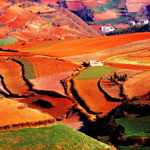 5 Days North-East Yunnan Photography Tour